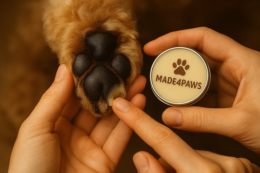 Caring for Your Pet’s Paws Naturally